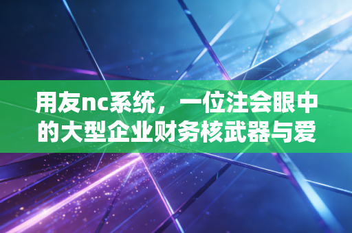 用友nc系统，一位注会眼中的大型企业财务核武器与爱恨情仇