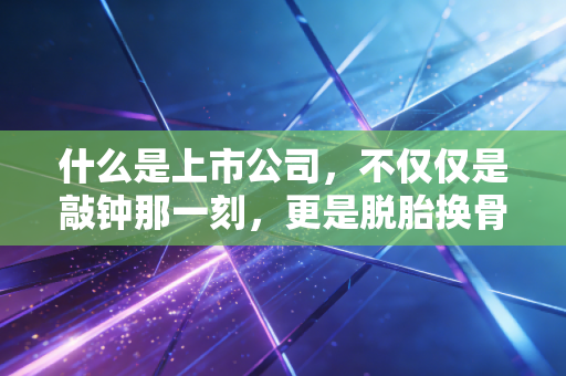 什么是上市公司，不仅仅是敲钟那一刻，更是脱胎换骨的修行