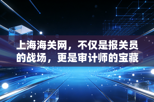 上海海关网，不仅是报关员的战场，更是审计师的宝藏与雷区
