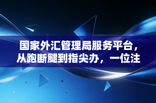 国家外汇管理局服务平台,从跑断腿到指尖办,一位注会眼中的跨境金融变革