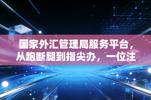 国家外汇管理局服务平台，从跑断腿到指尖办，一位注会眼中的跨境金融变革
