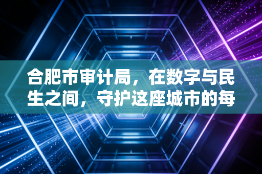 合肥市审计局，在数字与民生之间，守护这座城市的每一分钱