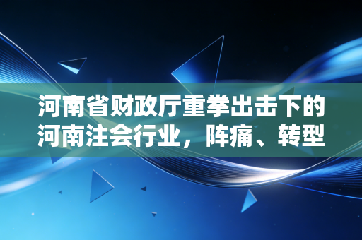 河南省财政厅重拳出击下的河南注会行业，阵痛、转型与我们的未来