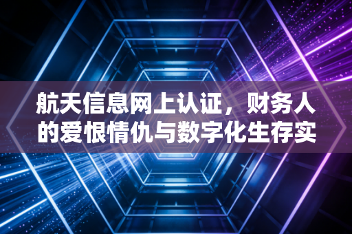 航天信息网上认证，财务人的爱恨情仇与数字化生存实录