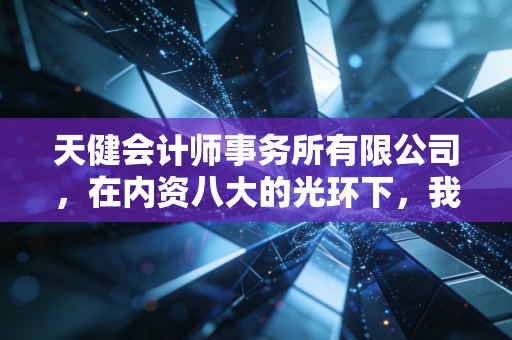 天健会计师事务所有限公司,在内资八大的光环下,我们究竟在追逐什么?