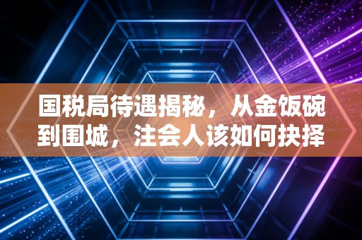 国税局待遇揭秘,从金饭碗到围城,注会人该如何抉择?