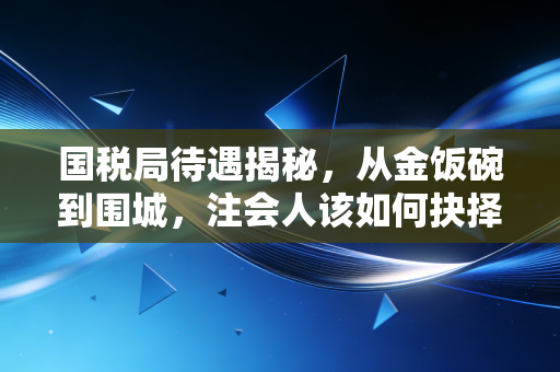 国税局待遇揭秘，从金饭碗到围城，注会人该如何抉择？