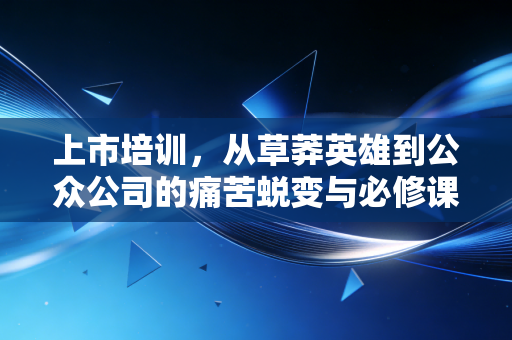 上市培训,从草莽英雄到公众公司的痛苦蜕变与必修课