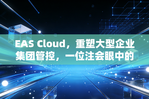 EAS Cloud,重塑大型企业集团管控,一位注会眼中的数字化变革