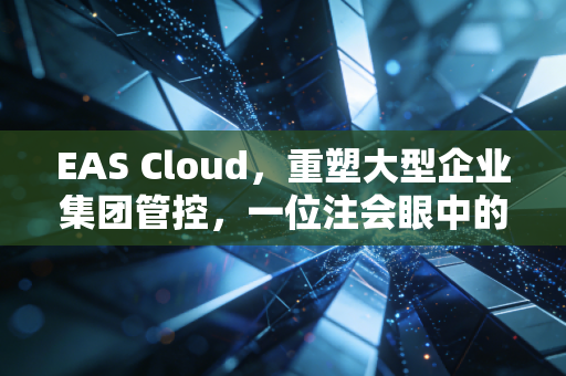 EAS Cloud,重塑大型企业集团管控,一位注会眼中的数字化变革