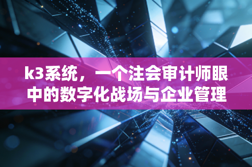 k3系统，一个注会审计师眼中的数字化战场与企业管理进化论