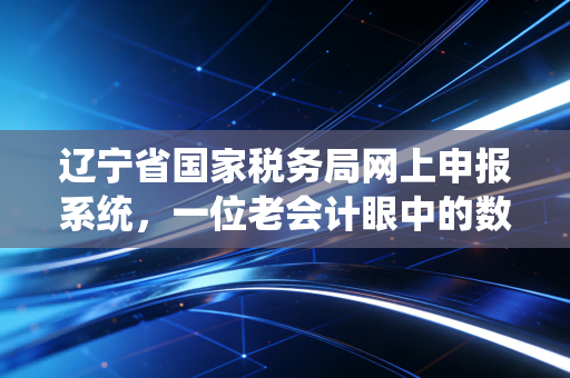 辽宁省国家税务局网上申报系统，一位老会计眼中的数字化变革与实操心法