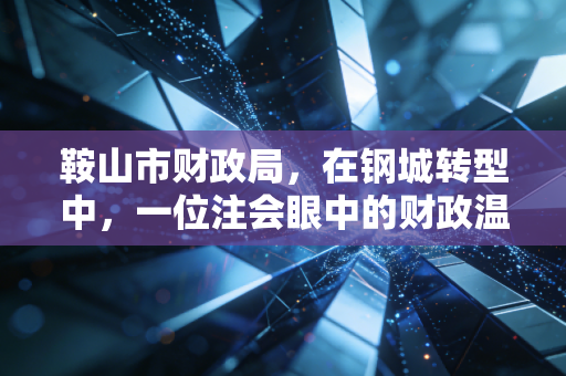 鞍山市财政局，在钢城转型中，一位注会眼中的财政温度与力度