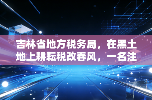 吉林省地方税务局，在黑土地上耕耘税改春风，一名注册会计师的观察手记