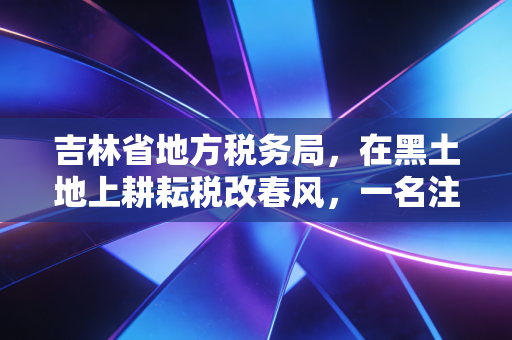 吉林省地方税务局，在黑土地上耕耘税改春风，一名注册会计师的观察手记