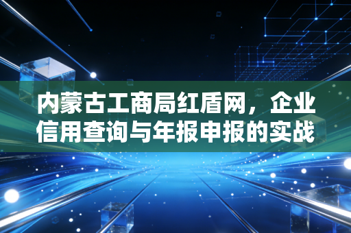 内蒙古工商局红盾网，企业信用查询与年报申报的实战指南与深度思考