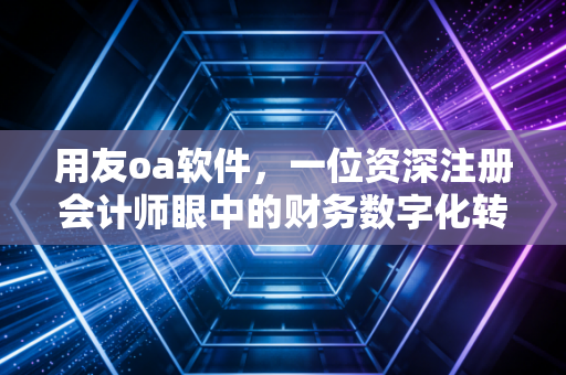 用友oa软件，一位资深注册会计师眼中的财务数字化转型与内控革命