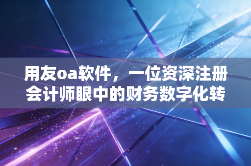用友oa软件，一位资深注册会计师眼中的财务数字化转型与内控革命
