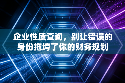 企业性质查询，别让错误的身份拖垮了你的财务规划