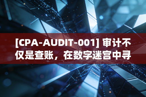 [CPA-AUDIT-001] 审计不仅是查账，在数字迷宫中寻找真相的职业怀疑心