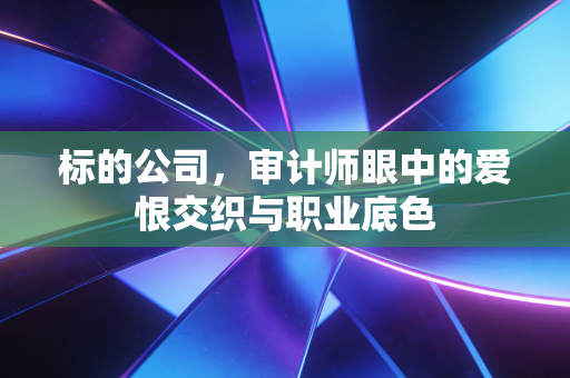 标的公司，审计师眼中的爱恨交织与职业底色
