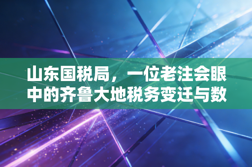山东国税局，一位老注会眼中的齐鲁大地税务变迁与数字化未来