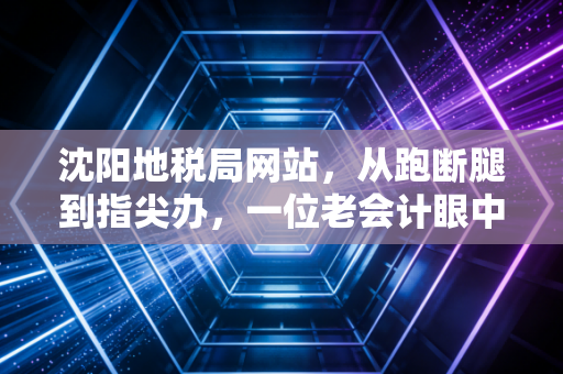 沈阳地税局网站，从跑断腿到指尖办，一位老会计眼中的数字化变迁