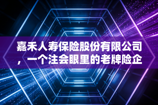 嘉禾人寿保险股份有限公司，一个注会眼里的老牌险企沉浮录与财务启示