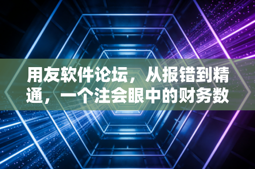 用友软件论坛，从报错到精通，一个注会眼中的财务数字化实战录