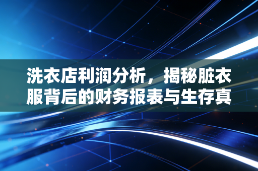 洗衣店利润分析，揭秘脏衣服背后的财务报表与生存真相