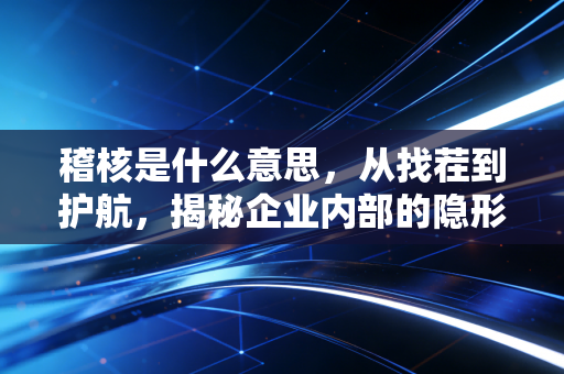 稽核是什么意思，从找茬到护航，揭秘企业内部的隐形守护者