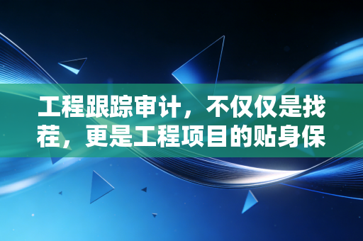 工程跟踪审计，不仅仅是找茬，更是工程项目的贴身保镖