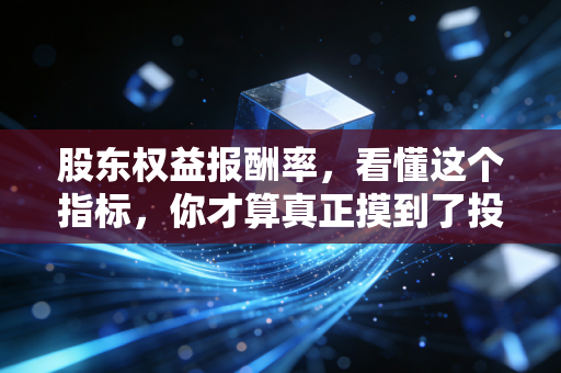 股东权益报酬率，看懂这个指标，你才算真正摸到了投资的脉搏