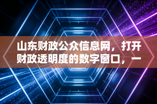 山东财政公众信息网，打开财政透明度的数字窗口，一位注会眼中的信任与变革