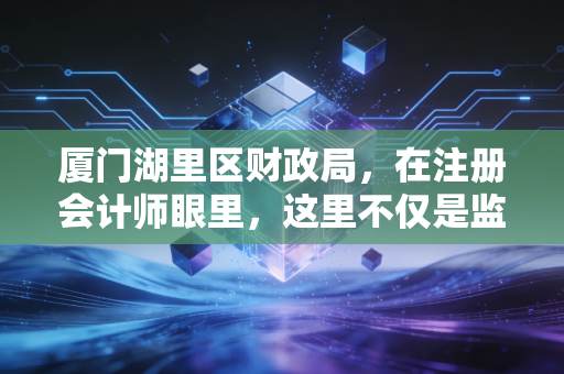 厦门湖里区财政局，在注册会计师眼里，这里不仅是监管者，更是企业的娘家人