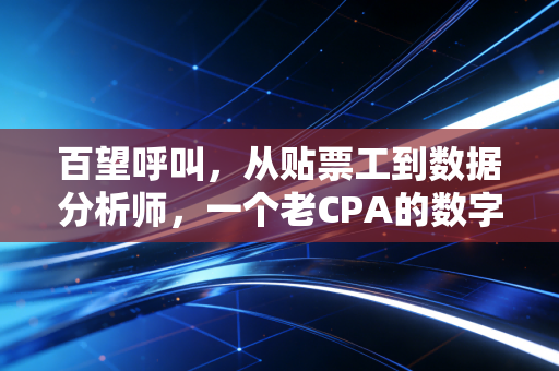 百望呼叫，从贴票工到数据分析师，一个老CPA的数字化焦虑与重生