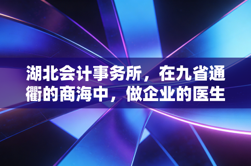 湖北会计事务所，在九省通衢的商海中，做企业的医生与军师