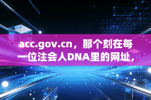 acc.gov.cn，那个刻在每一位注会人DNA里的网址，到底承载了什么？