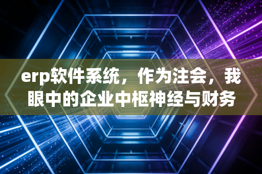 erp软件系统，作为注会，我眼中的企业中枢神经与财务变革