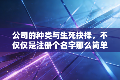 公司的种类与生死抉择，不仅仅是注册个名字那么简单