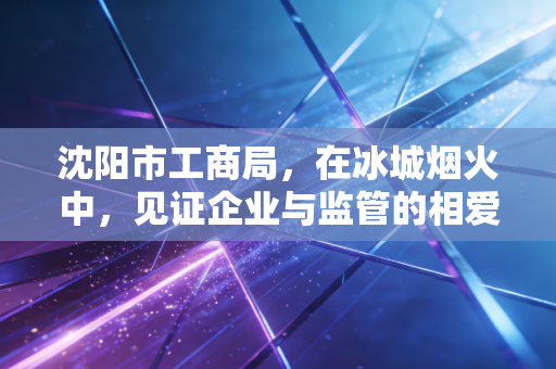 沈阳市工商局，在冰城烟火中，见证企业与监管的相爱相杀