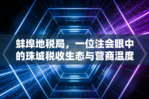 蚌埠地税局，一位注会眼中的珠城税收生态与营商温度