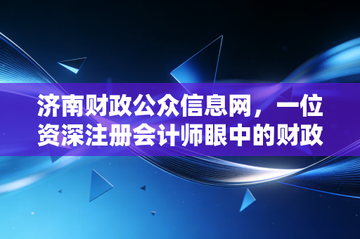 济南财政公众信息网，一位资深注册会计师眼中的财政透明与民生温度