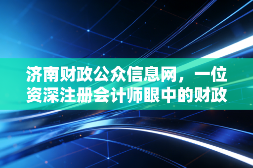 济南财政公众信息网，一位资深注册会计师眼中的财政透明与民生温度