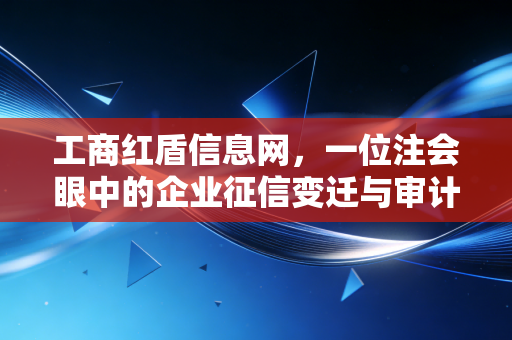 工商红盾信息网，一位注会眼中的企业征信变迁与审计实战手记