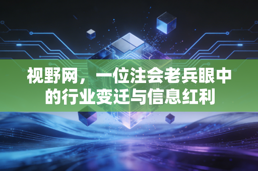 视野网，一位注会老兵眼中的行业变迁与信息红利