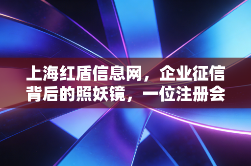 上海红盾信息网，企业征信背后的照妖镜，一位注册会计师的深度独白
