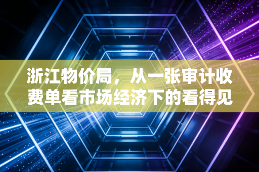 浙江物价局，从一张审计收费单看市场经济下的看得见的手