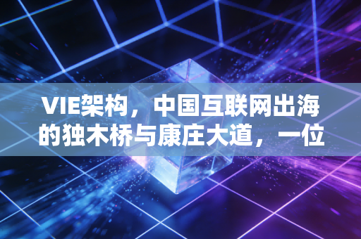 VIE架构，中国互联网出海的独木桥与康庄大道，一位注会眼中的资本借壳艺术