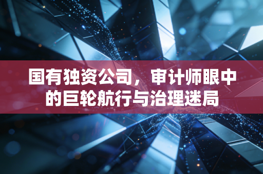 国有独资公司，审计师眼中的巨轮航行与治理迷局